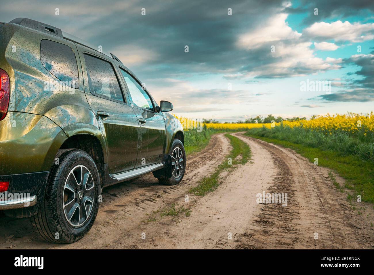 Gomel, Belarus - May 20, 2020: Car Renault Duster Or Dacia Duster Suv In Summer Rapeseed Field Countryside Landscape On Background Bright Light Blue Stock Photo