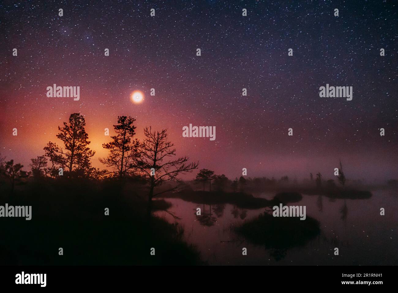 Dramatic Twilight Sky With Rising Planet Venus Over Swamp Landscape. Misty Morning Time. Soft Colors. Amazing Glowing Stars Effects Above Lonely Stock Photo