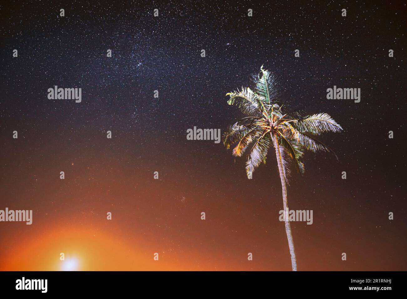 Night Starry Sky Over Tropical Beach With Lonely Palm Tree. Amazing Stars Effect Sky. Soft Colors. Beach Tropical Palm. Voyage Concept. Stock Photo