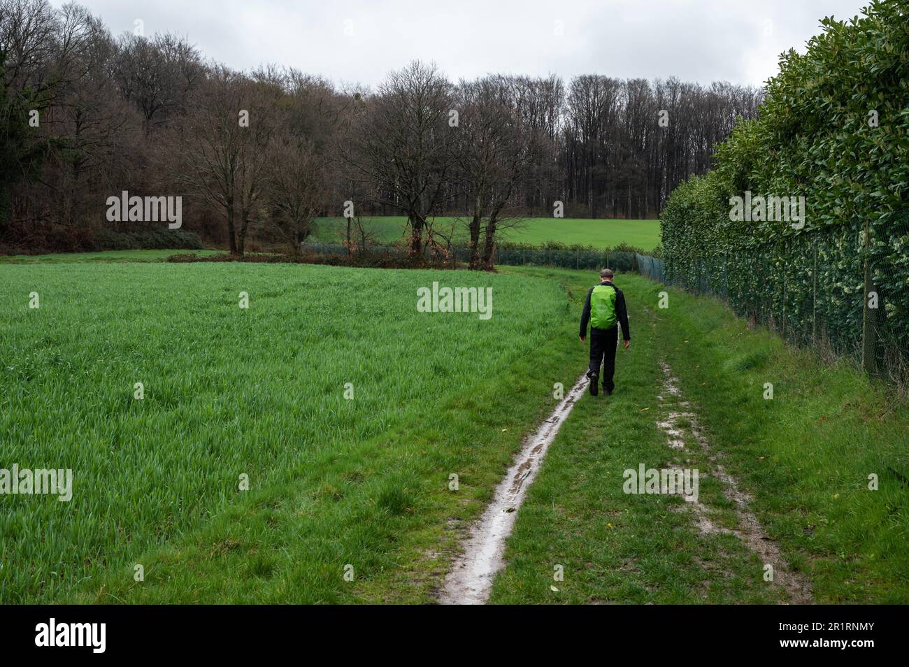 Kortenberg, Flemish Brabant Region, Belgium - April 1, 2023 - Young man with backpack walking through the green meadows at the Flemish countryside. Stock Photo
