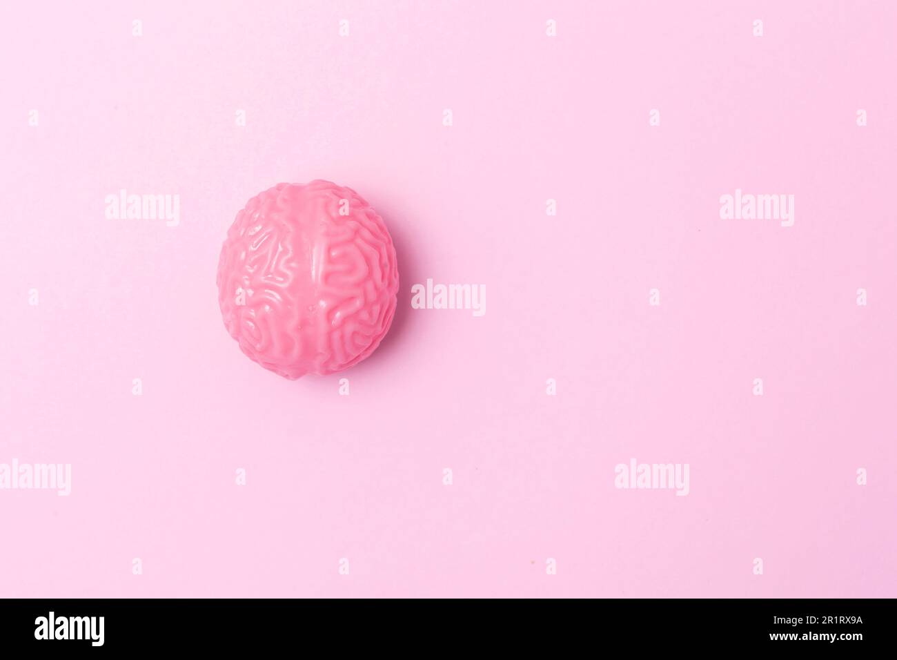 Brain on the pink background Stock Photo