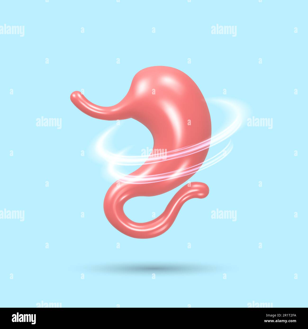 Healthy stomach system. 3d human organ. Realistic vector Illustration. Stock Vector