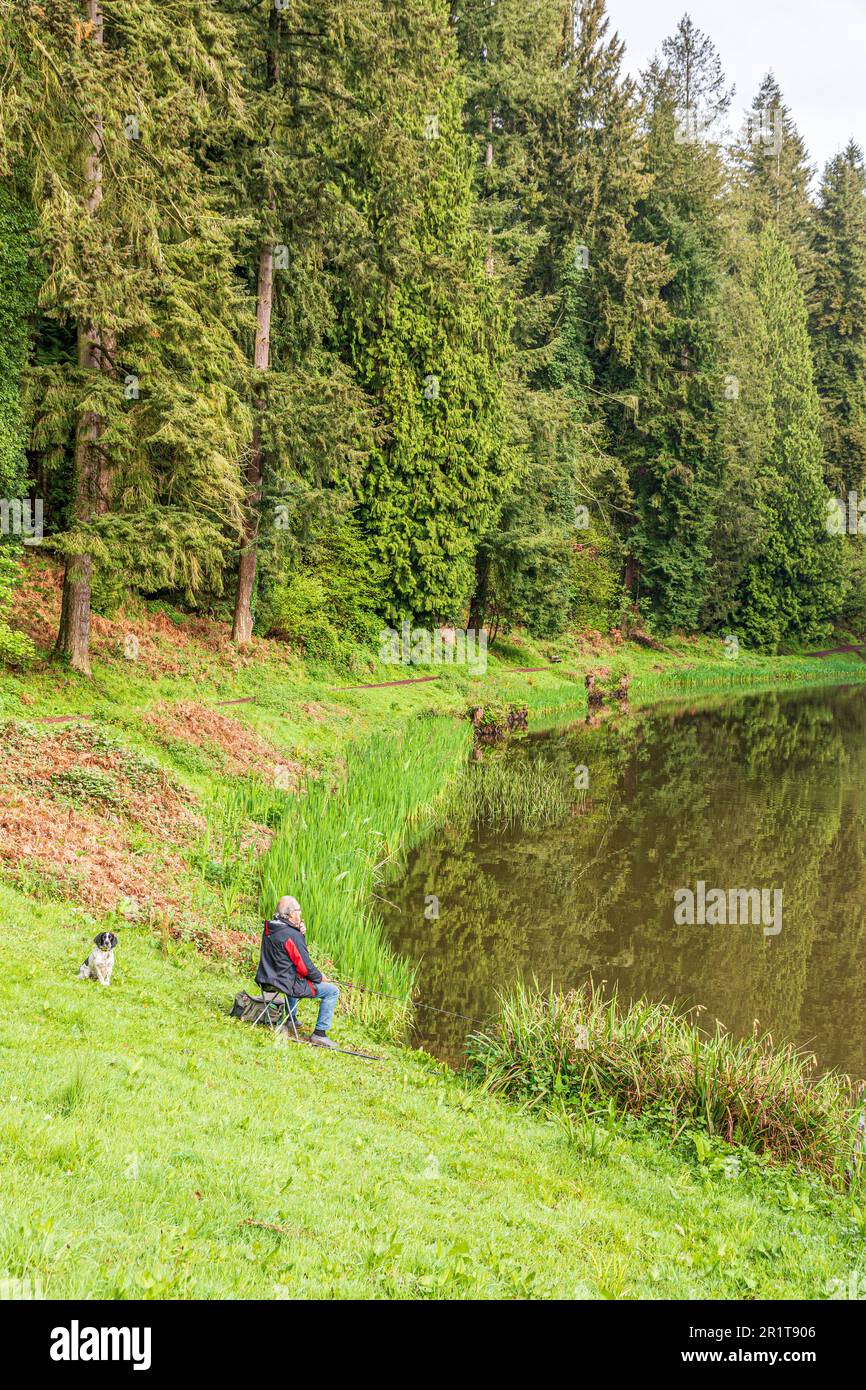 An angler fishing in Soudley Ponds at Lower Soudley in the Forest of Dean, Gloucestershire, England UK Stock Photo