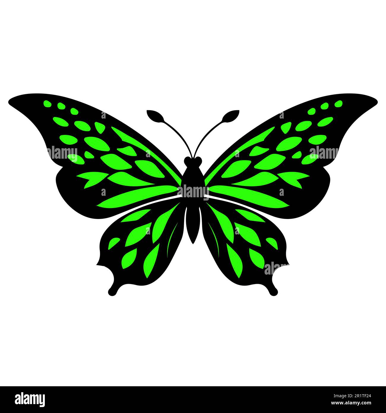 Green moth Stock Vector Images Alamy