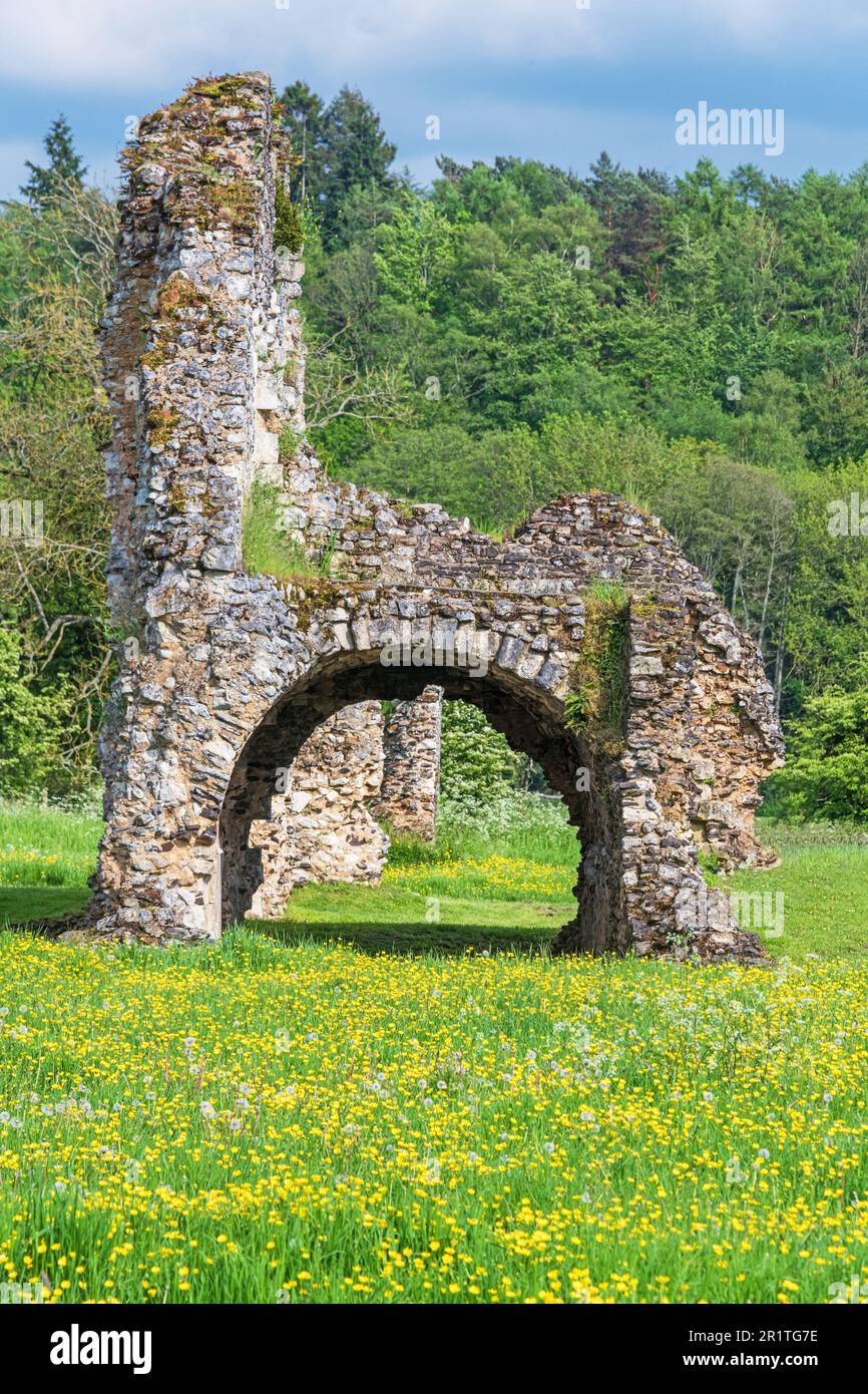 Part of the ruins of Waverley Abbey, the first Cistercian Abbey in England, built in 1128. Stock Photo