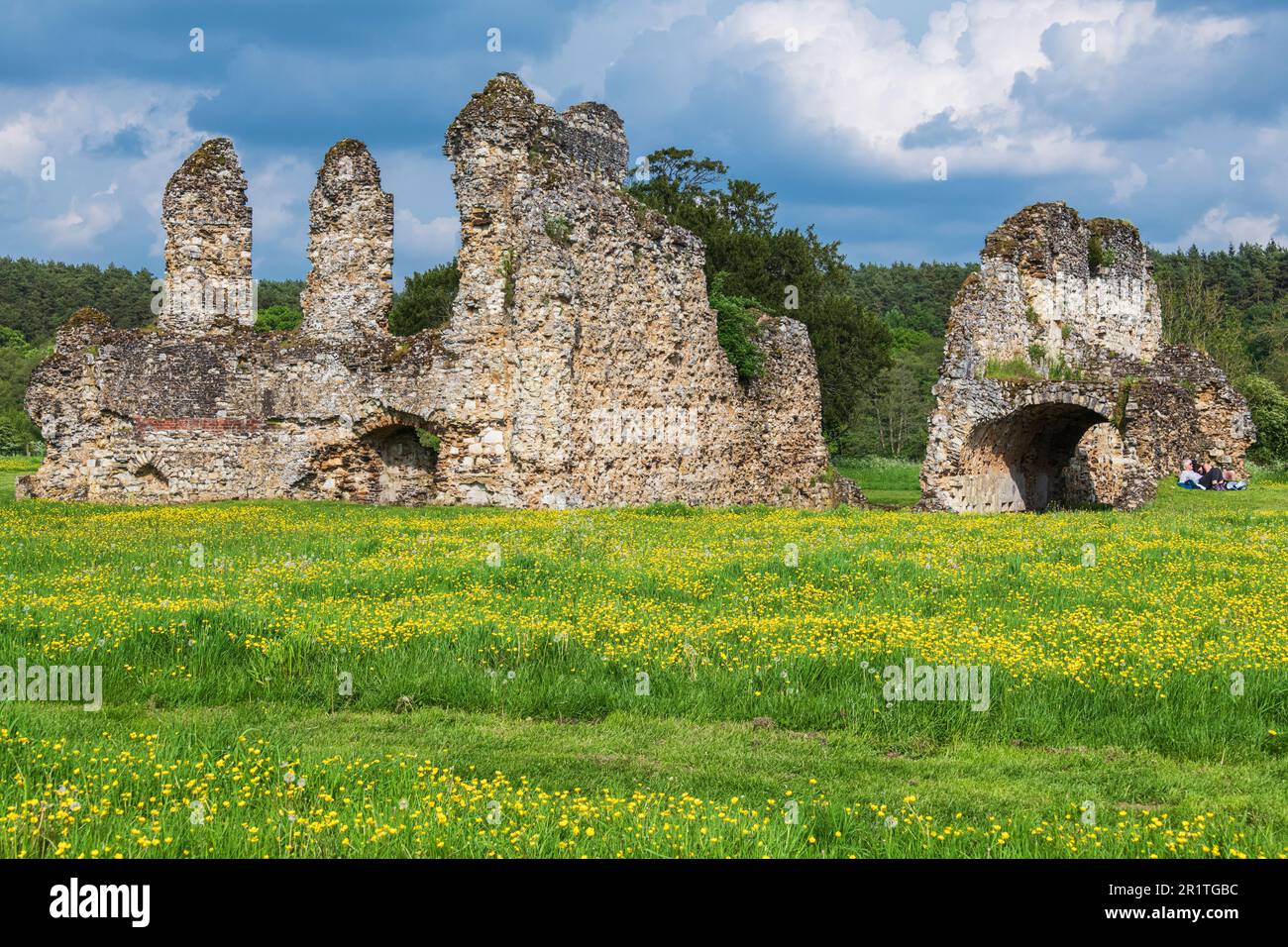The ruined undercroft and monks dormitory, Waverley Abbey near Farnham, Surrey. The Abbey was the first Cistercian Monastery built n England in 1128. Stock Photo