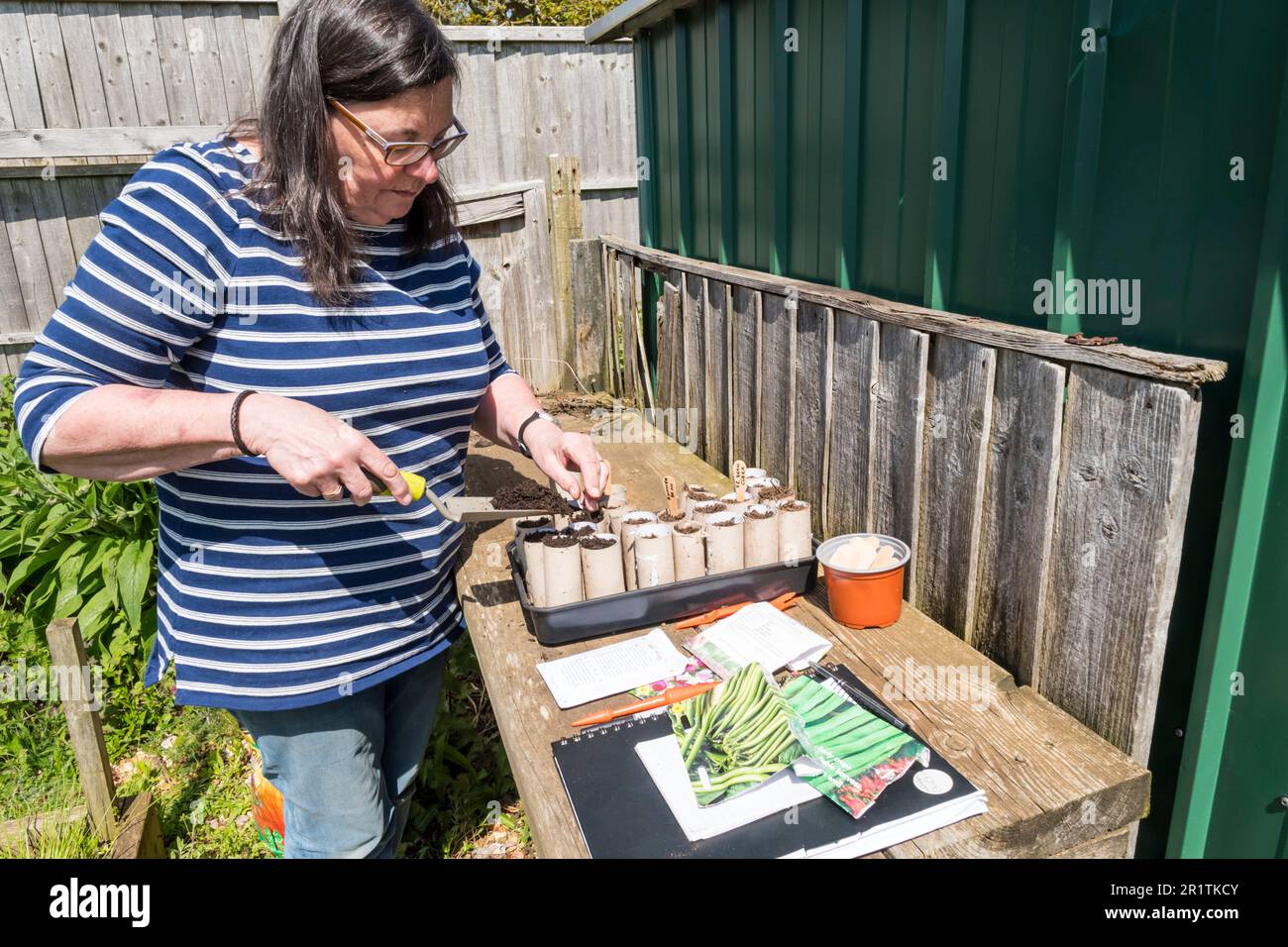 Woman sowing seeds into old cardboard toilet rolls ready to go in greenhouse. Stock Photo