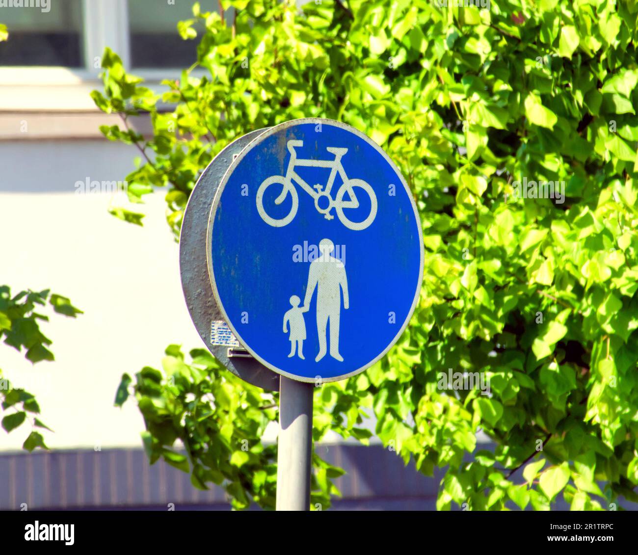 Cycle Path Sign Shared Route For Pedal Cycles And Pedestrians Only Sign cycle-path-sign-shared-route-for-pedal-cycles-and-pedestrians-only-sign
