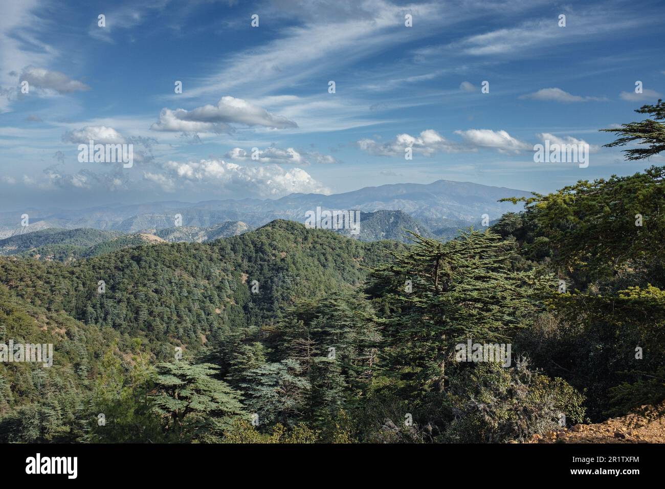 View from Mount Tripylos looking over the Pafos (Paphos) Forest, Cyprus Stock Photo