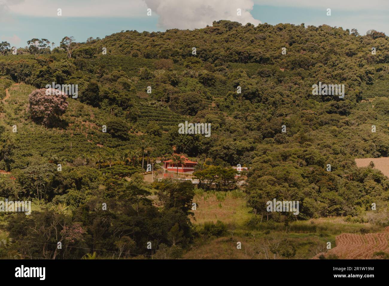 small town in the countryside Stock Photo - Alamy