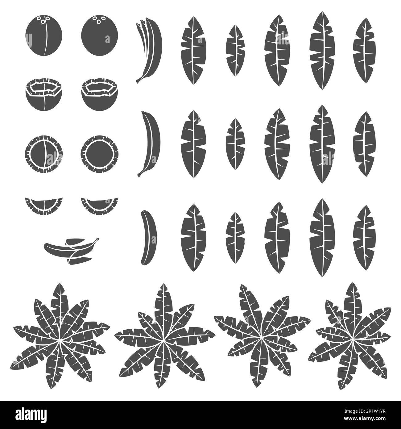 Set of black and white illustration with tropical palm, leaves, coconut and banana. Isolated vector object on white background. Stock Vector