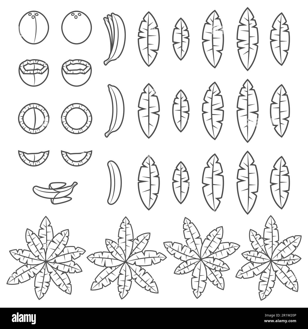 Set of black and white illustration with tropical palm, leaves, coconut and banana. Isolated vector object on white background. Stock Vector