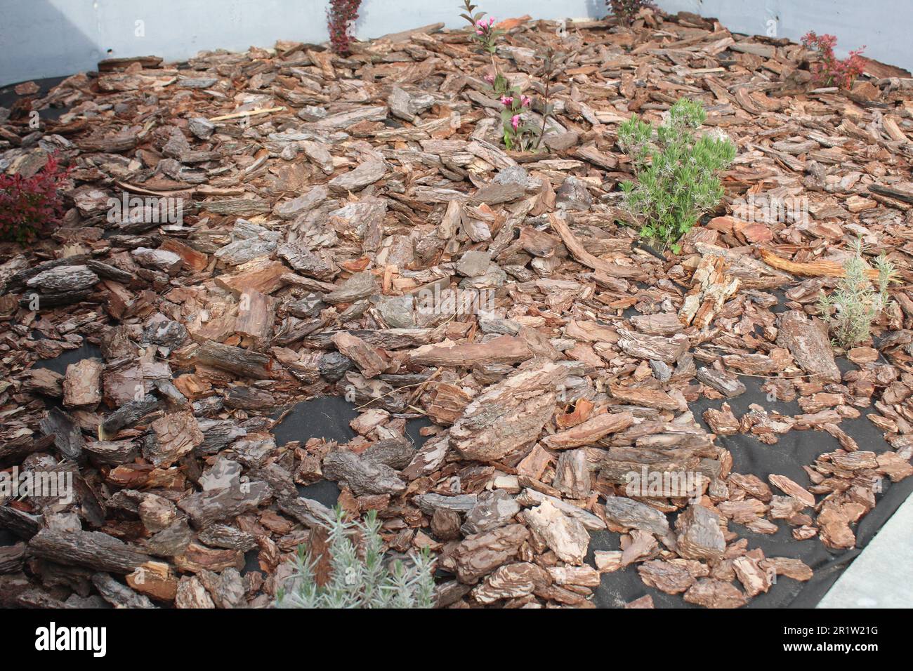 The artificial flower bed is lined with oak tree bark and green dead
