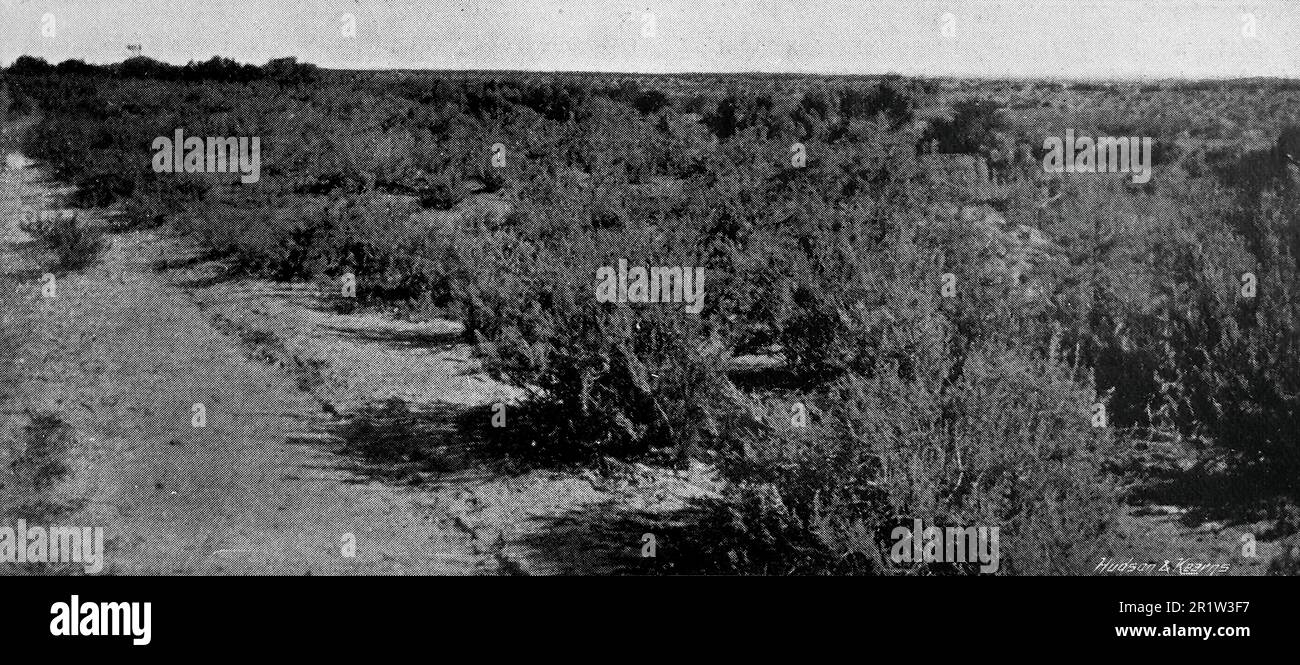 The Boer War, also known as the Second Boer War, The South African War