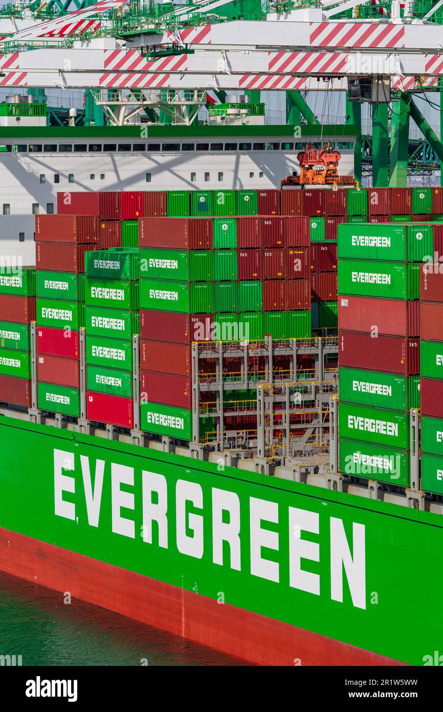 Evergreen Container Terminal, Port of Los Angeles, San Pedro, Southern ...