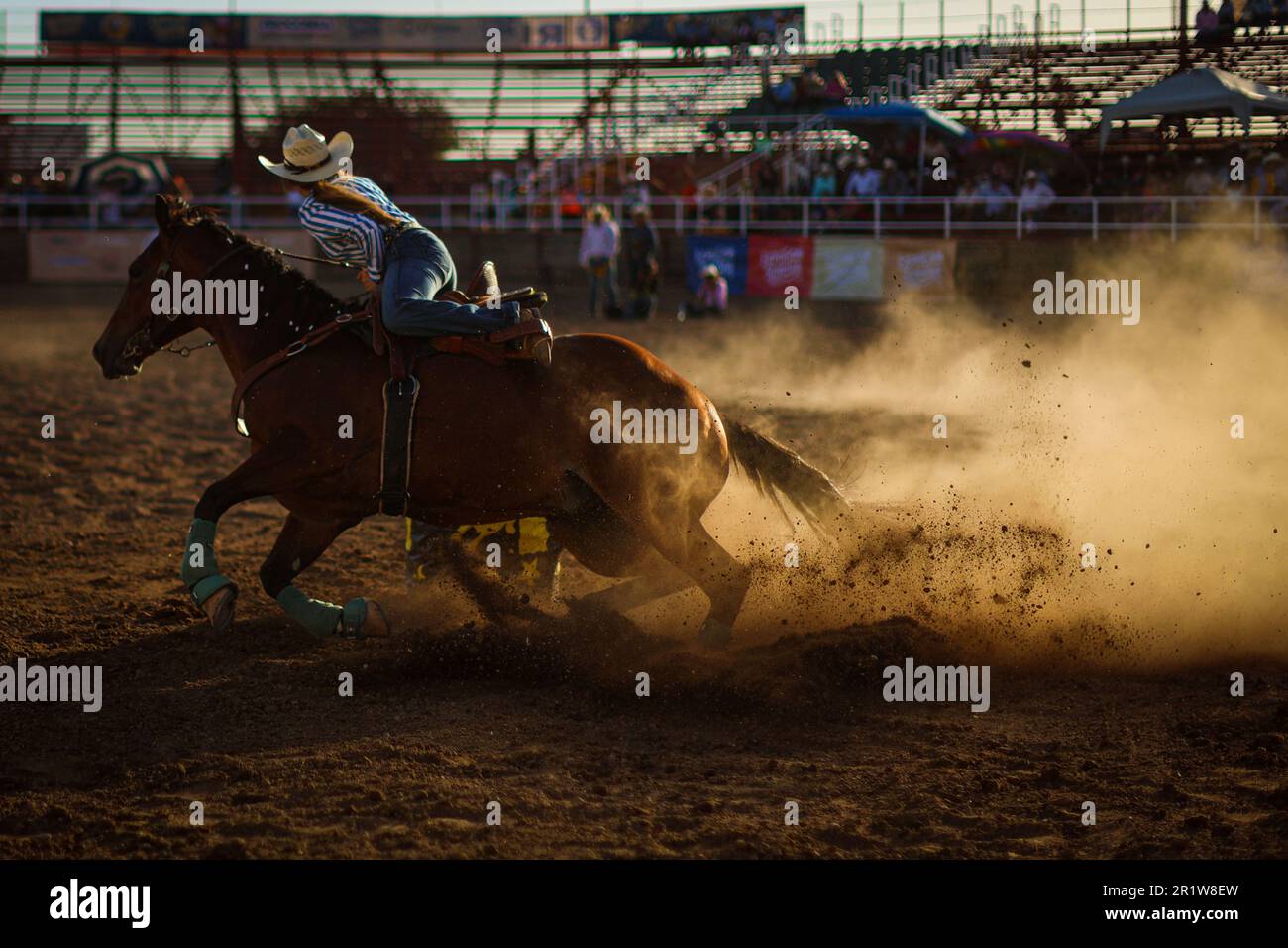 Cowboys, during the rodeo circuit at the Expo Ganadera de Sonora, on ...