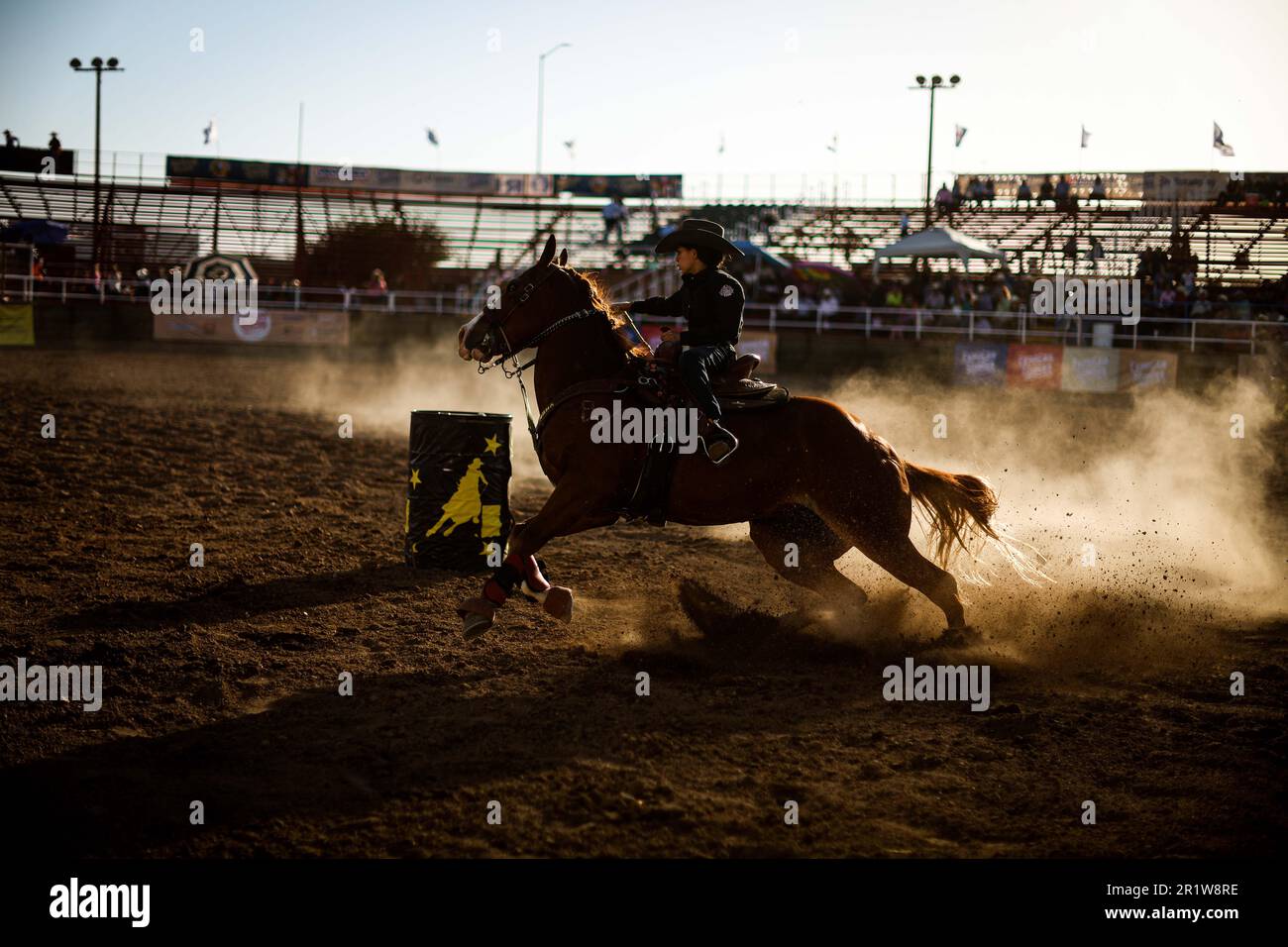 Cowboys, during the rodeo circuit at the Expo Ganadera de Sonora, on ...