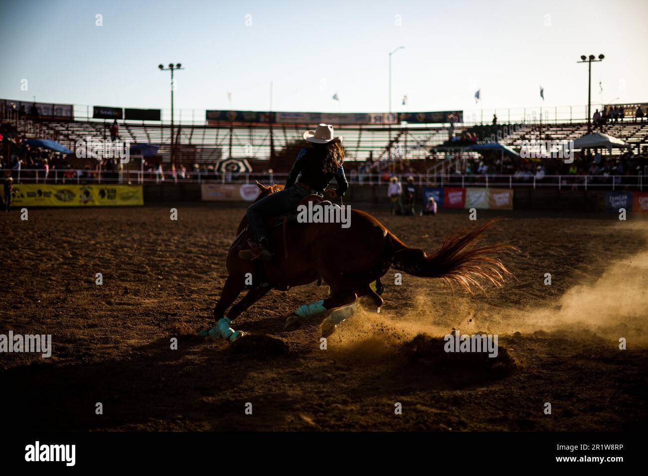 Cowboys, during the rodeo circuit at the Expo Ganadera de Sonora, on ...