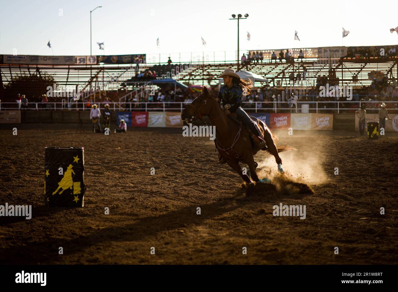 Cowboys, during the rodeo circuit at the Expo Ganadera de Sonora, on ...