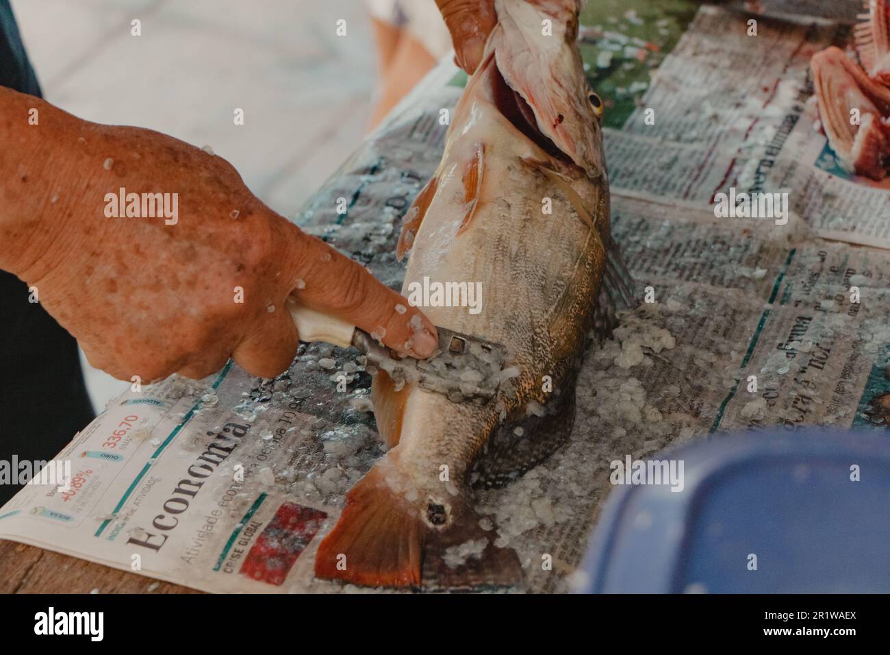 cleaning caught fish Stock Photo Alamy