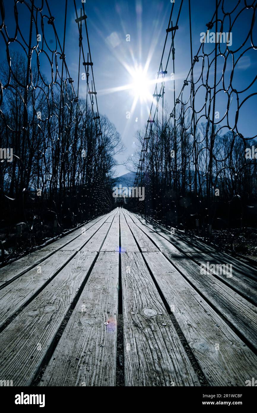 Hardwood timber plank floor on a pedestrian bridge with sunlight