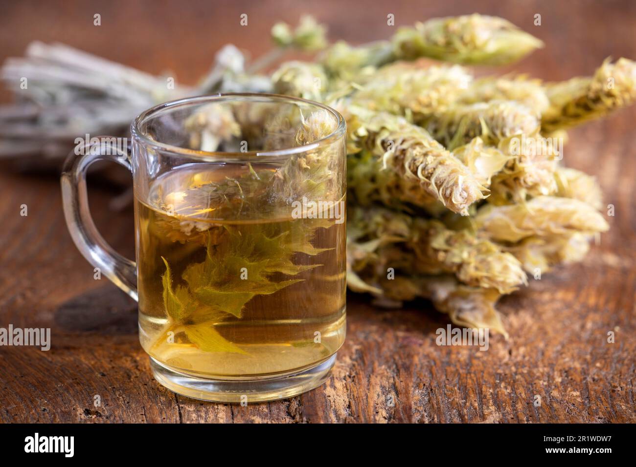greek sideritis tea on dark wood Stock Photo
