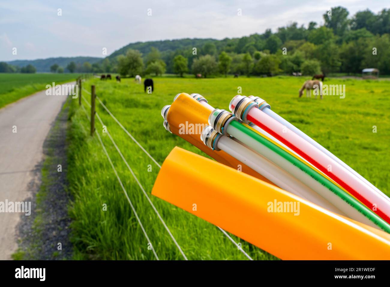 Fibre optic cable, freshly laid along a field path, at a horse paddock, waiting for further extension, provision of fast internet in rural areas, Mülh Stock Photo