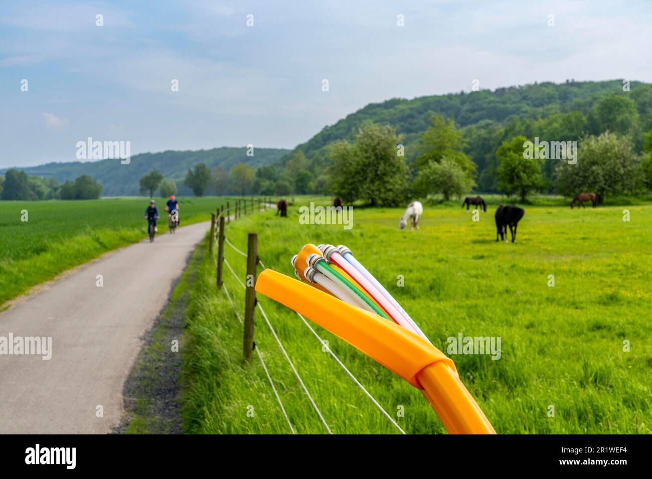 Fibre optic cable, freshly laid along a field path, at a horse paddock ...