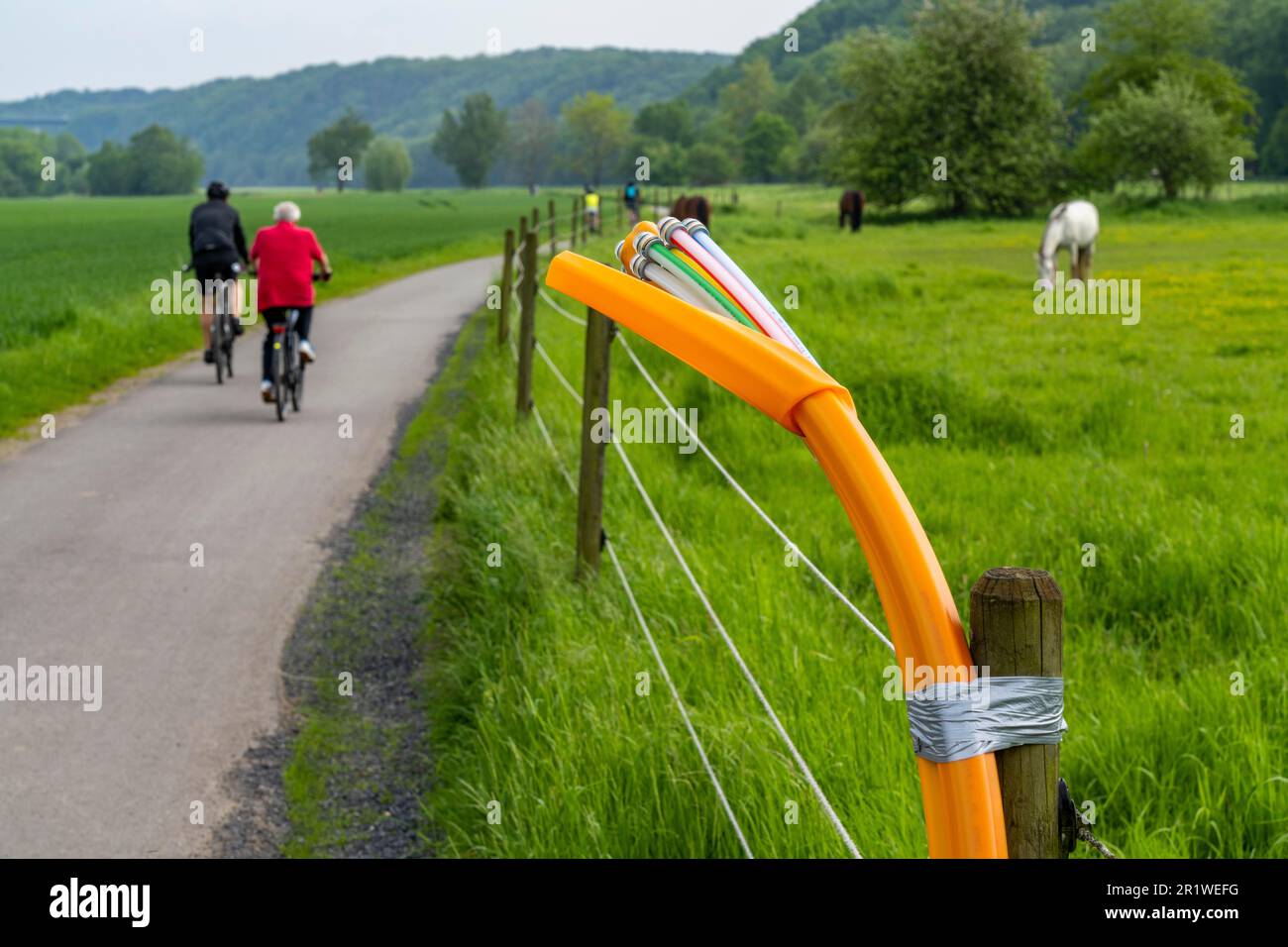 Fibre optic cable, freshly laid along a field path, at a horse paddock ...