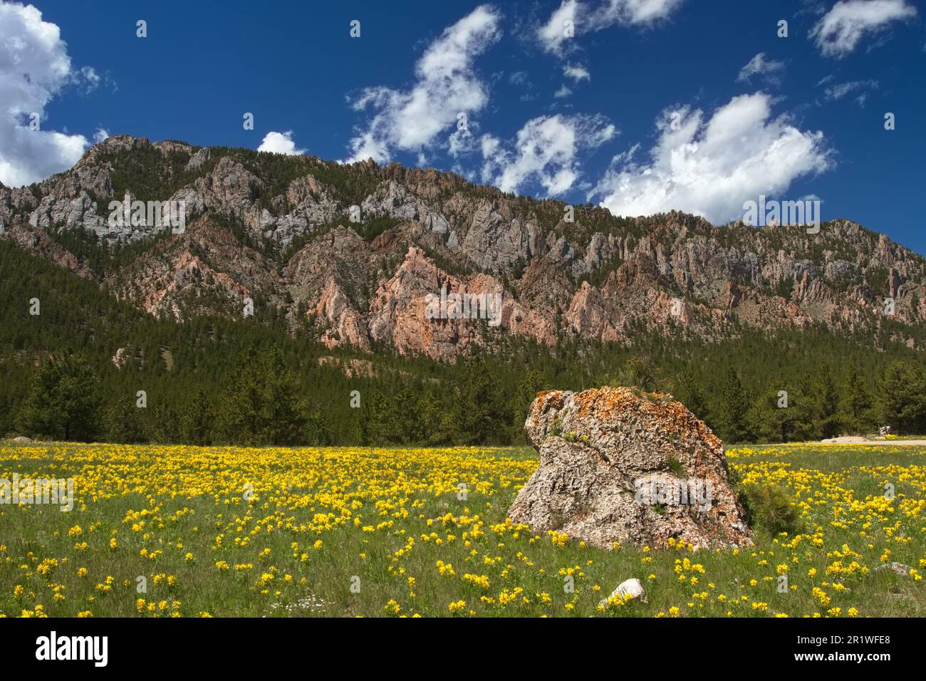 Big horn national forest road 33 hires stock photography and images