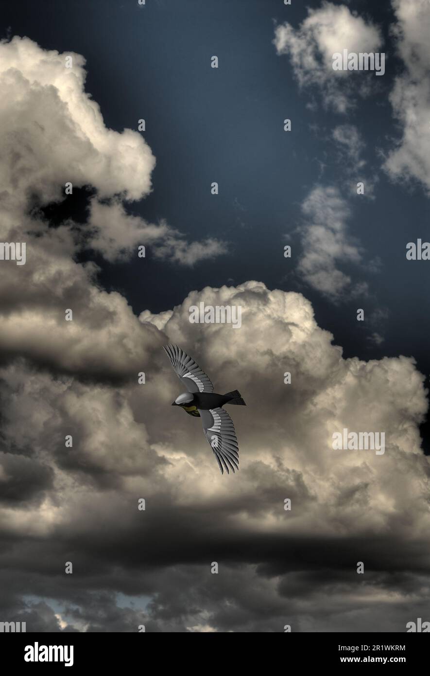 Illustrated bird flying before the storm clouds Stock Photo - Alamy