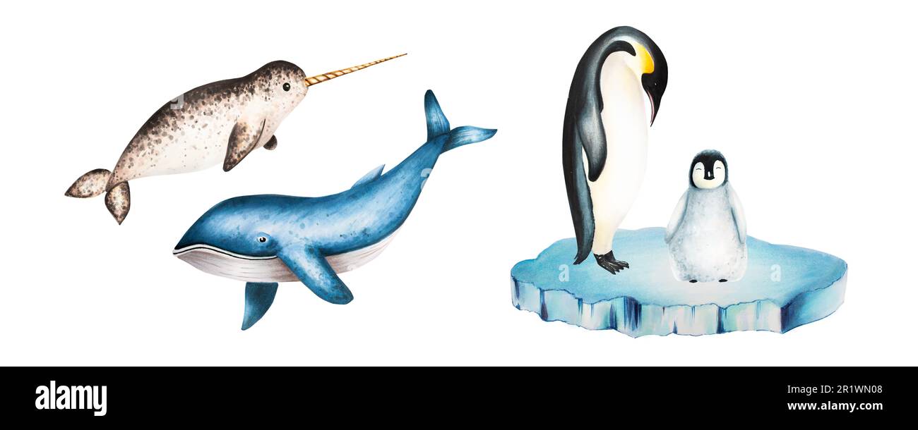 Watercolor narwhal with long tusk and blue whale, king penguins on ice isolated. Hand painting realistic Arctic and Antarctic ocean mammals. For desig Stock Photo