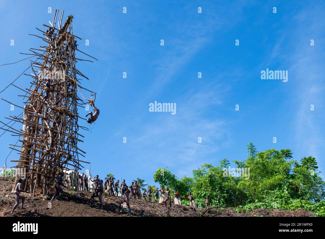Vanuatu, Pentecost Island. Age-old ritual of land diving Stock Photo ...