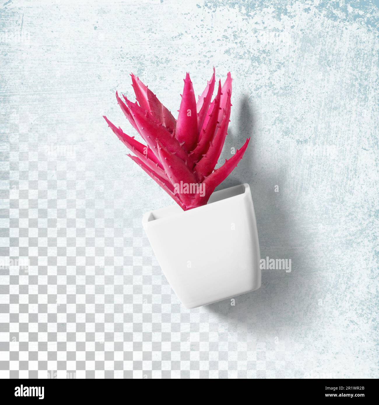 Top up view cactus plant office on white pot isolated Stock Photo Alamy