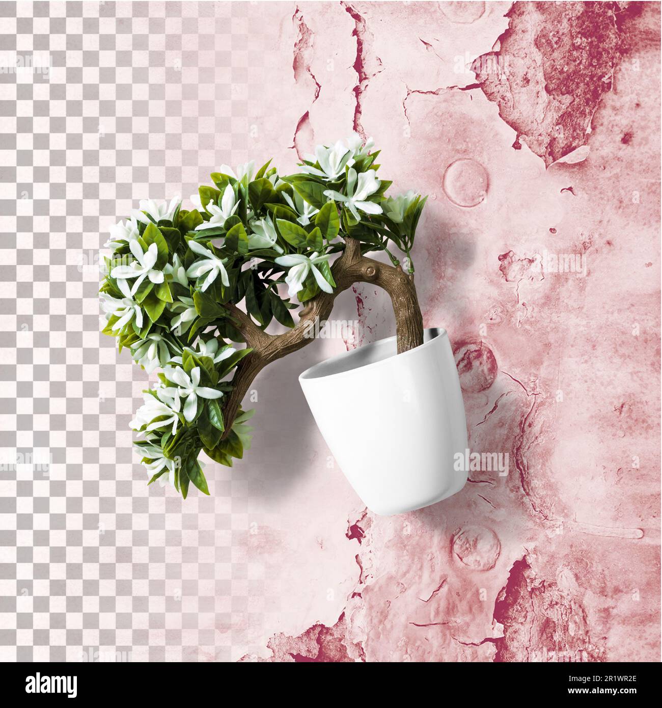 Top up view of various office desk plant isolated Stock Photo - Alamy