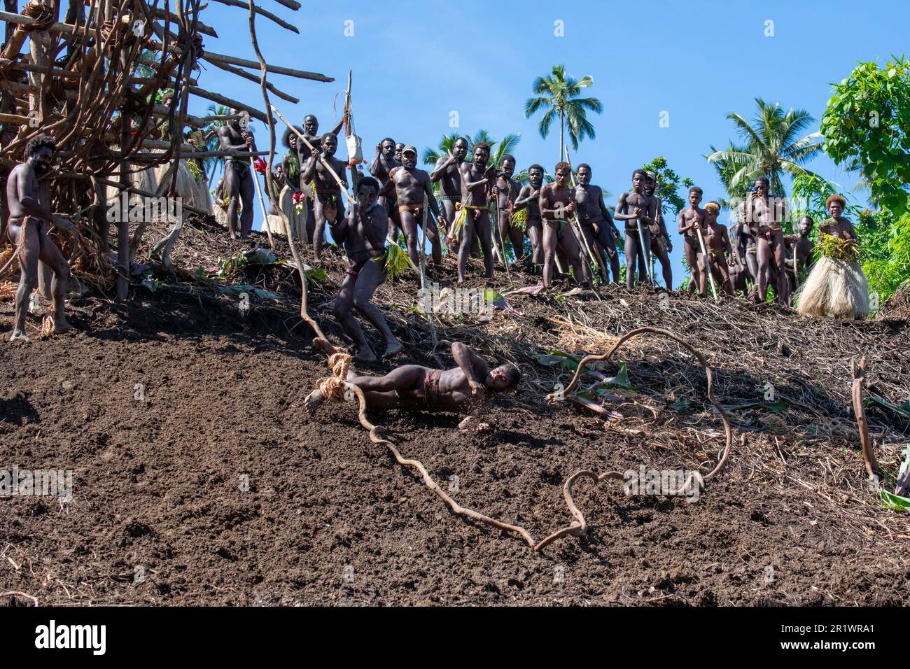 Pentecost land diving hi-res stock photography and images - Alamy