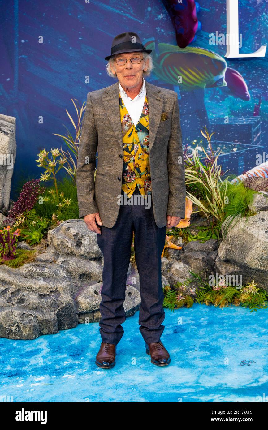 Live christmas lights fairbank