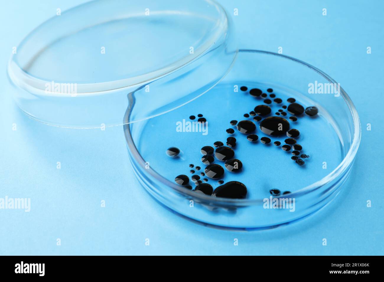 Petri dish with bacteria colony on light blue background Stock Photo