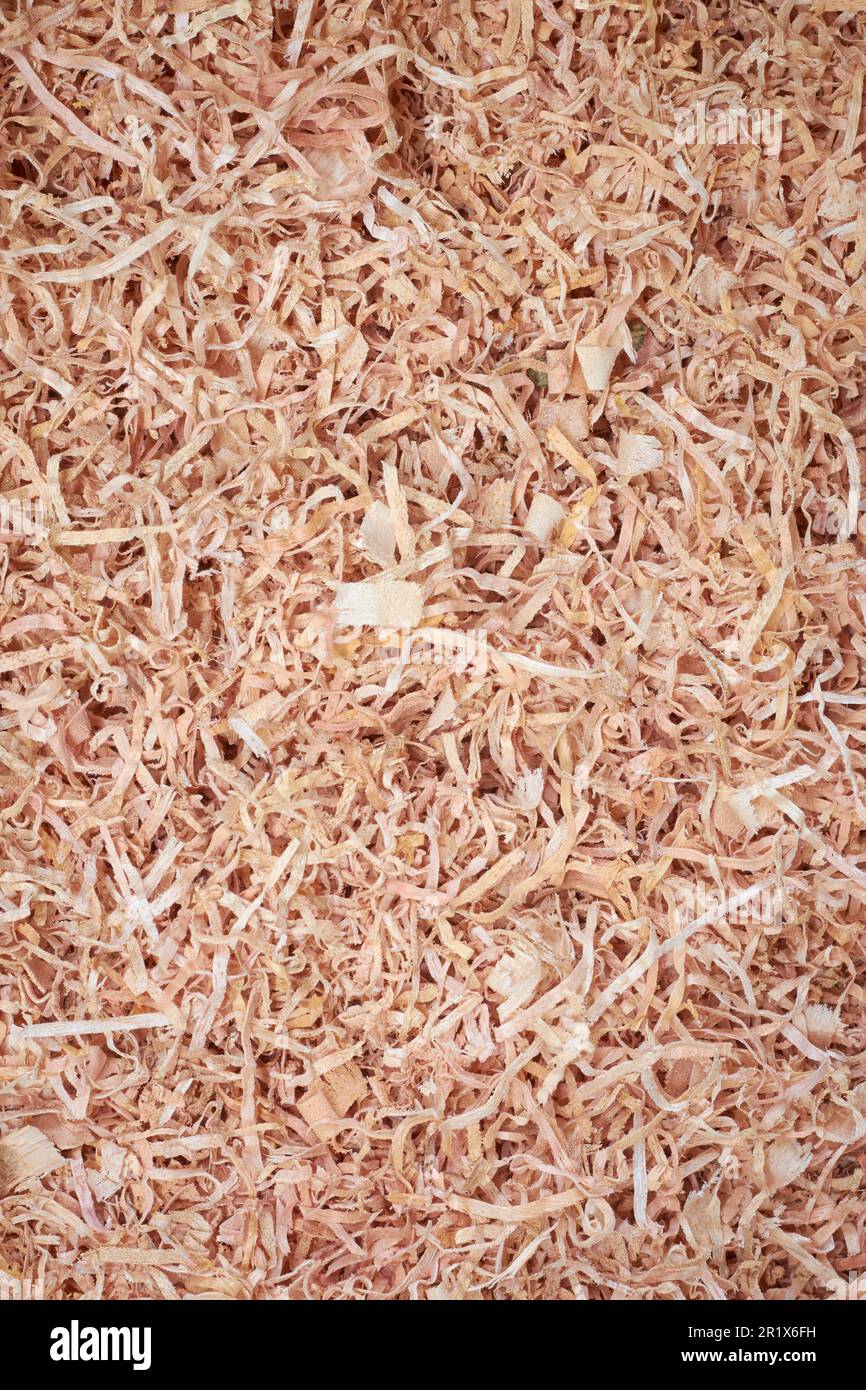 close-up of wood shavings, shaved or chopped from larger pieces of wood, use as bedding material for animals and in various industrial applications Stock Photo