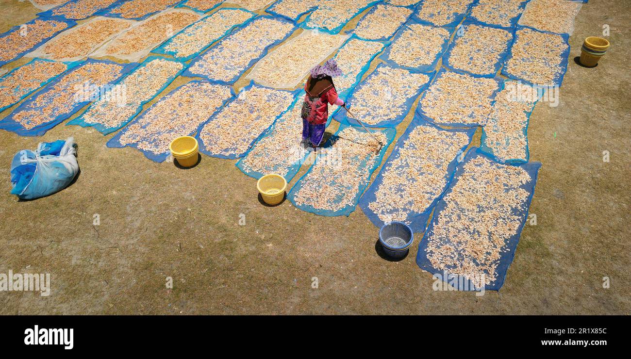 aerial view of fisherman working during drying shrimp process Stock
