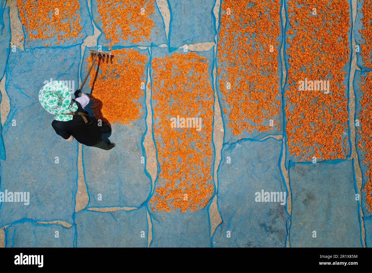aerial view of fisherman working during drying shrimp process Stock