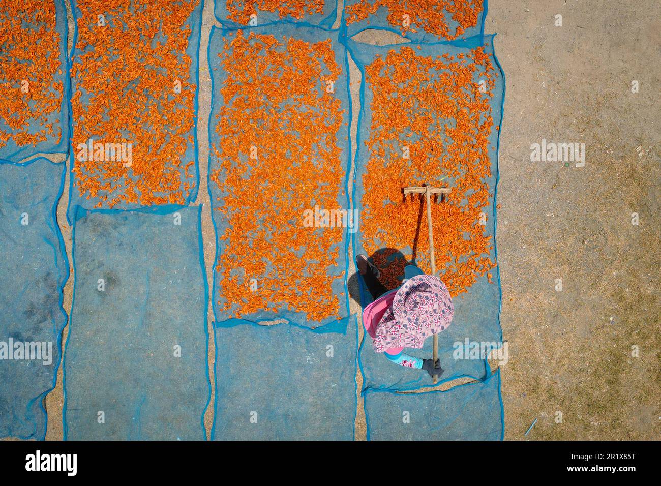 aerial view of fisherman working during drying shrimp process Stock