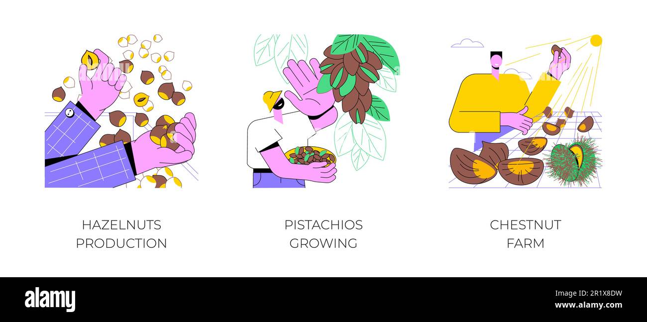Tree nuts production isolated cartoon vector illustrations set. Farmer ...