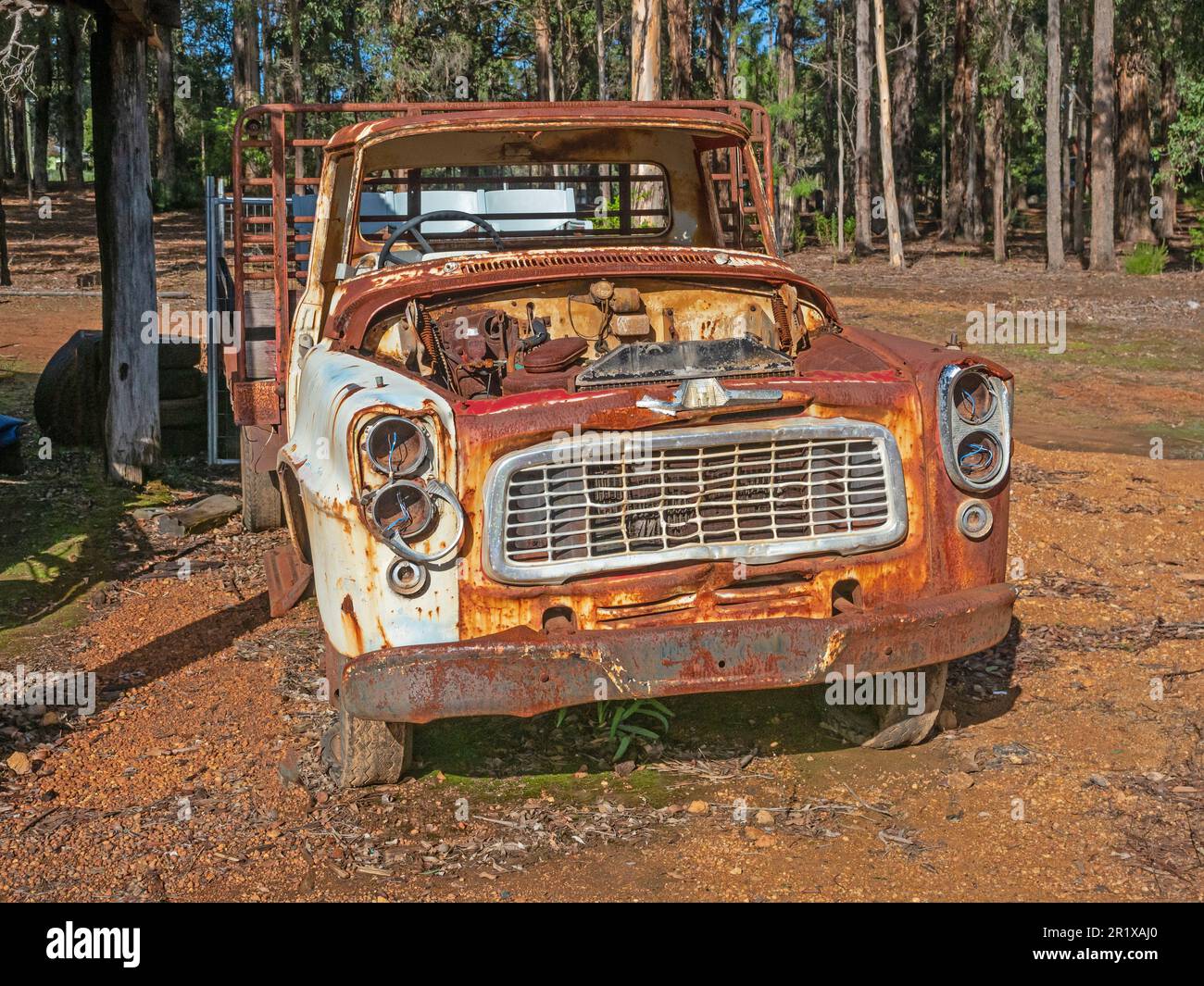An old International Harvester truck rusting away at Donnelly River Village in Western Australia. Stock Photo