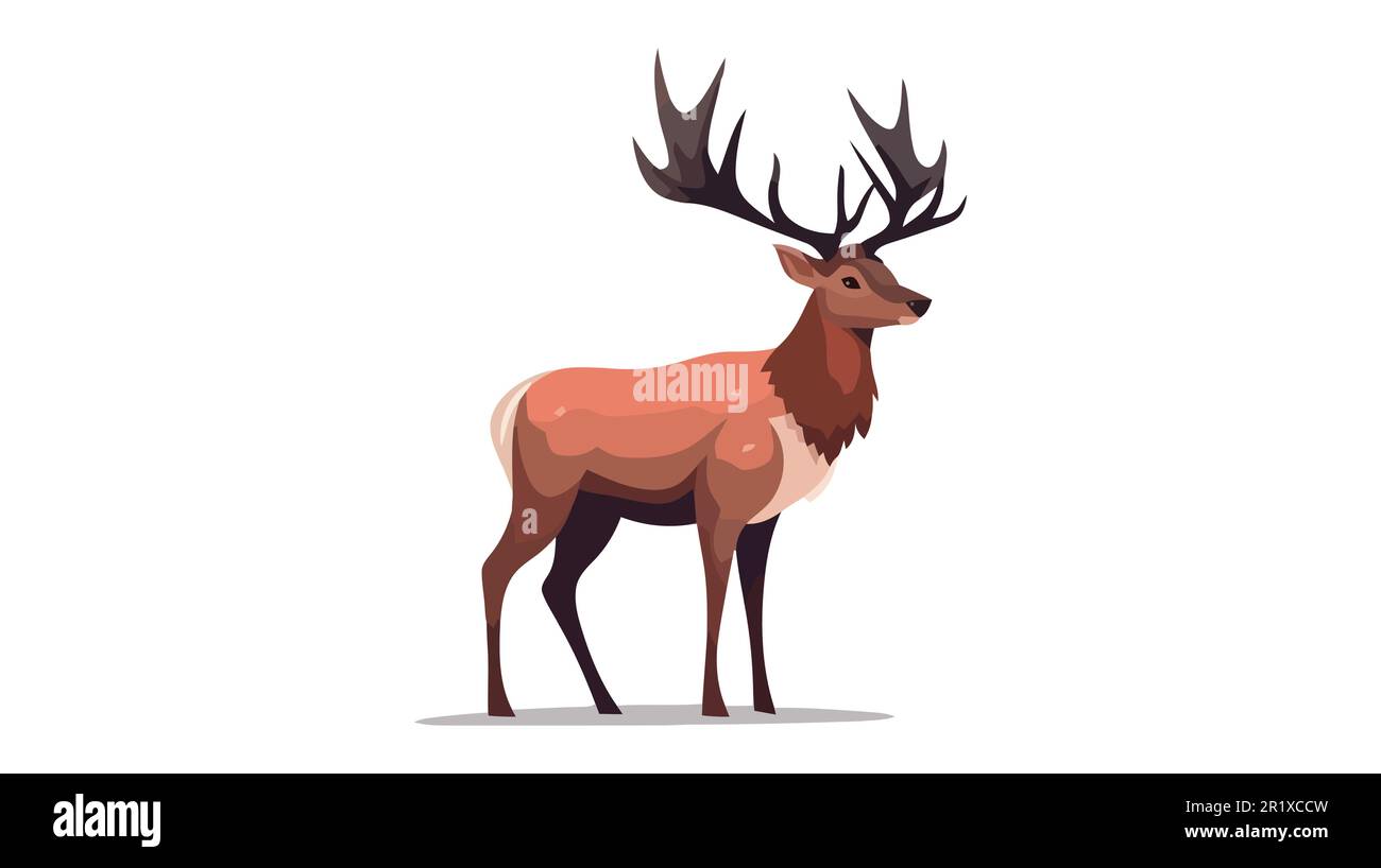 Vector Illustration of Deer isolated on white background Stock Vector ...