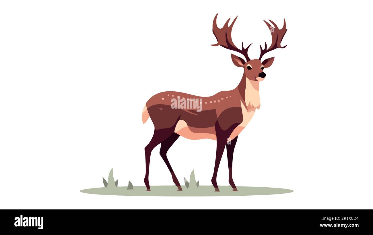 Vector Illustration of Deer isolated on white background Stock Vector ...