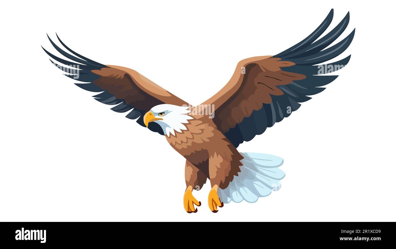 Vector Illustration Of A Bald Eagle Isolated On A White