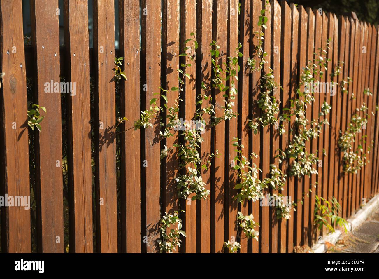 High plank fence hi-res stock photography and images - Alamy