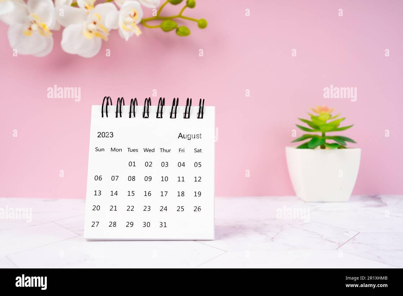 August 2023 desk calendar and white orchid one pink color background Stock  Photo - Alamy