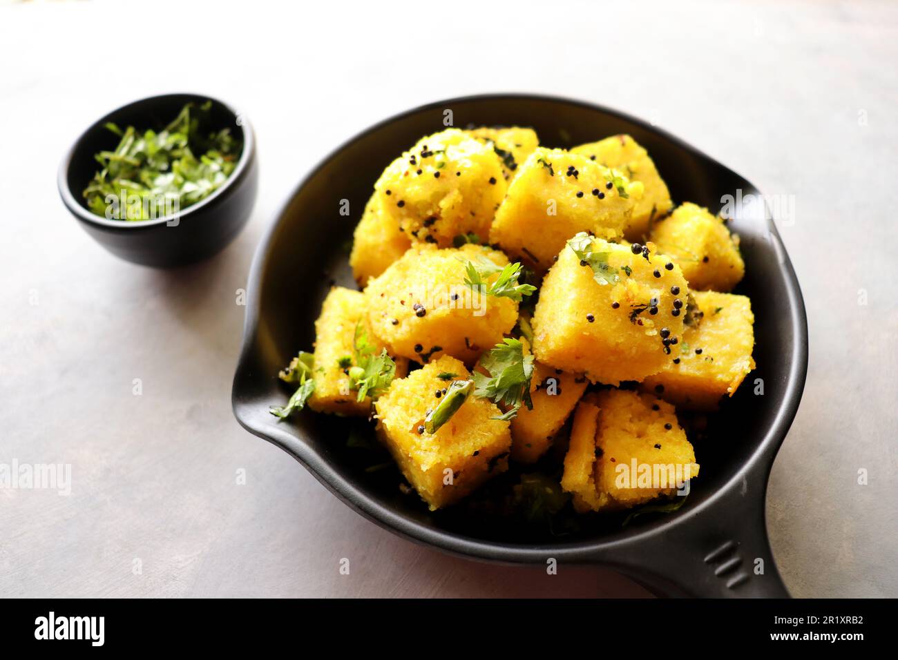 Indian chana Dal dhokla. Khaman dhokla is a famous dish of Gujarat